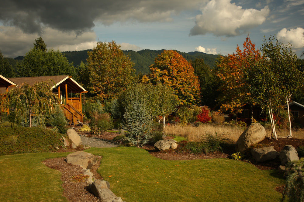 Carson Ridge Luxury Cabins Екстериор снимка